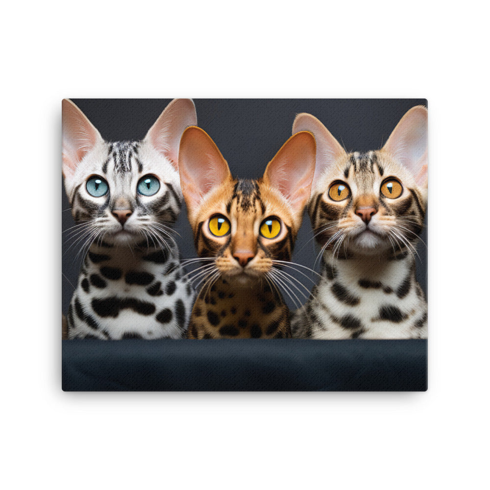 Ocicat Canvas - PosterfyAI.com