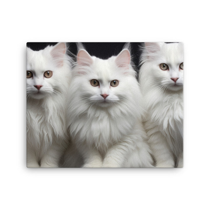 Turkish Angora Canvas - PosterfyAI.com