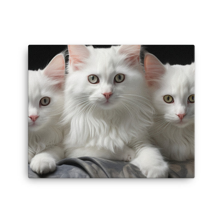 Turkish Angora Canvas - PosterfyAI.com