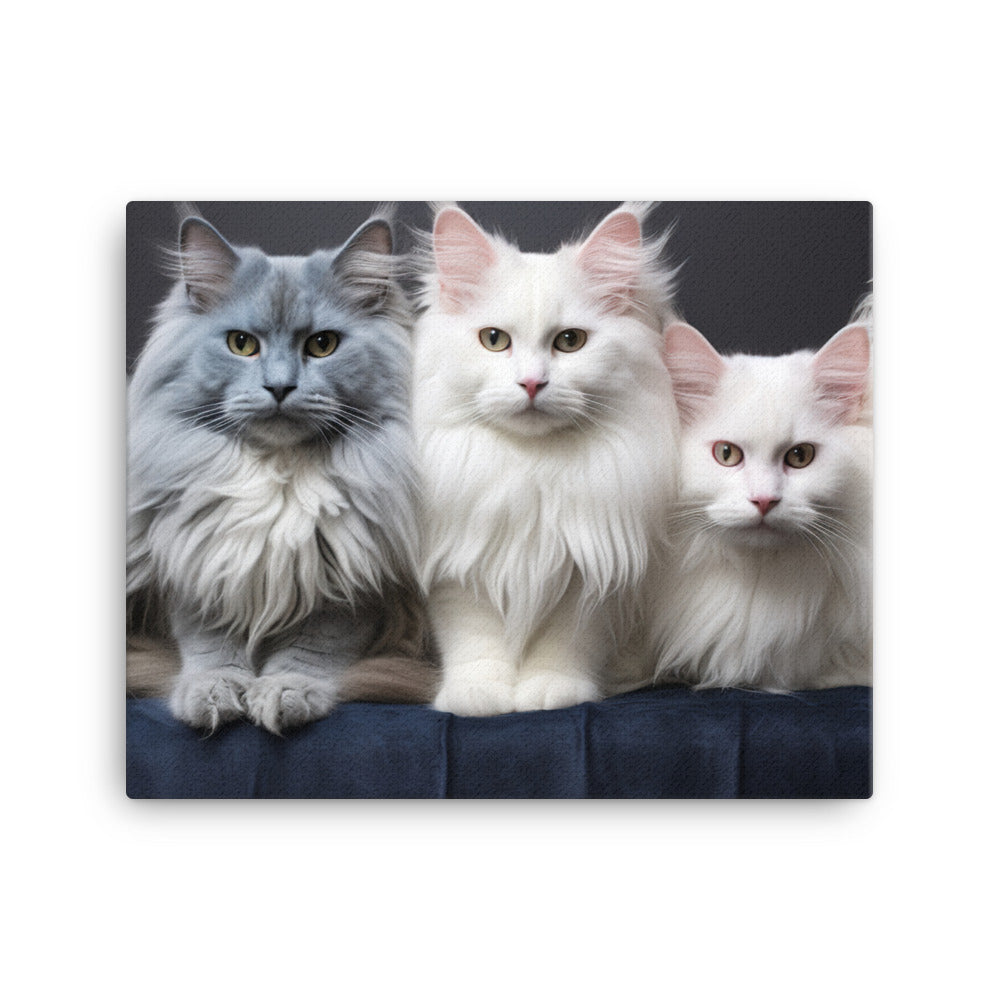 Turkish Angora Canvas - PosterfyAI.com