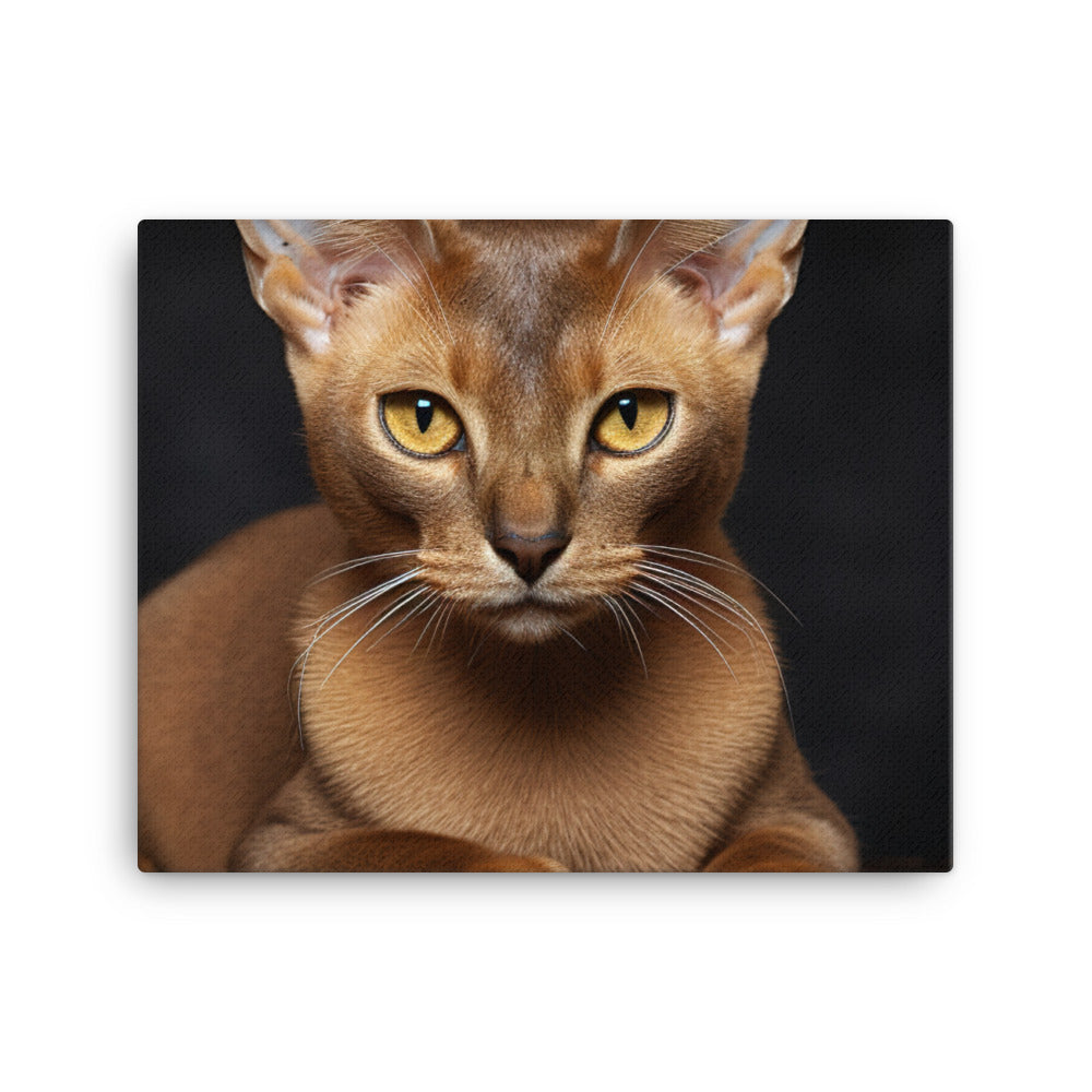 Burmese Canvas - PosterfyAI.com