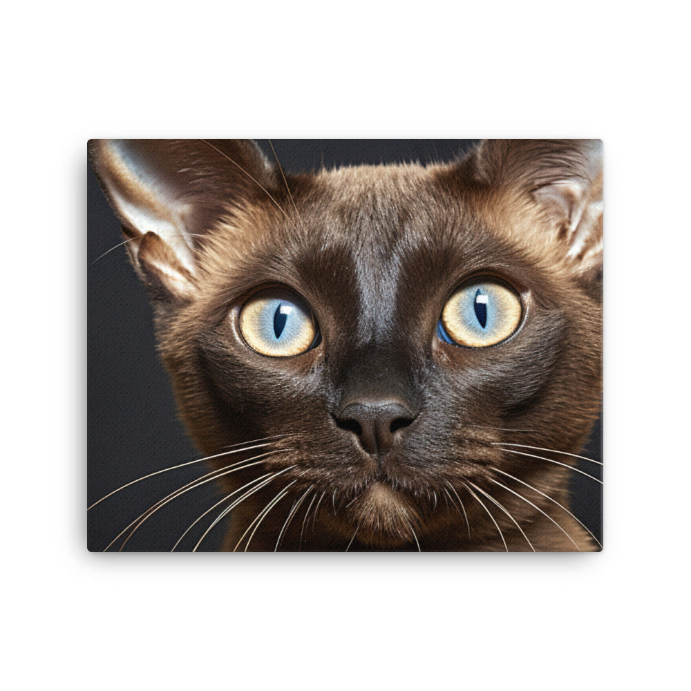 Burmese Canvas - PosterfyAI.com