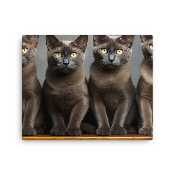 Burmese Canvas - PosterfyAI.com