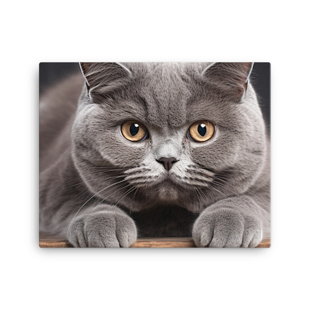 British Shorthair Canvas - PosterfyAI.com