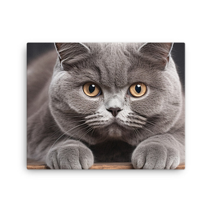 British Shorthair Canvas - PosterfyAI.com