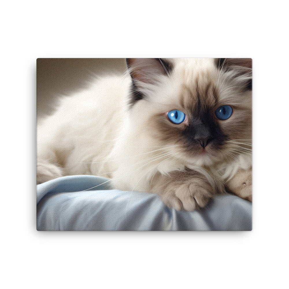 Birman Canvas - PosterfyAI.com