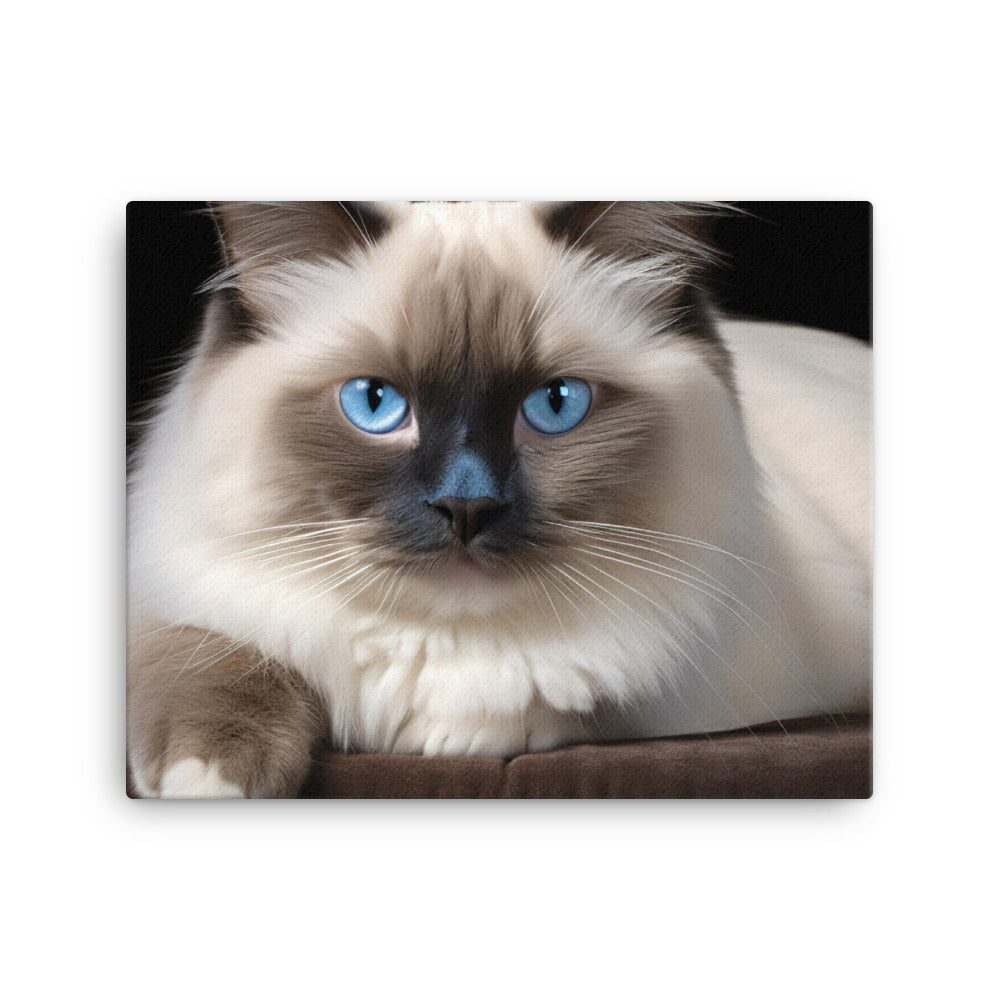 Birman Canvas - PosterfyAI.com