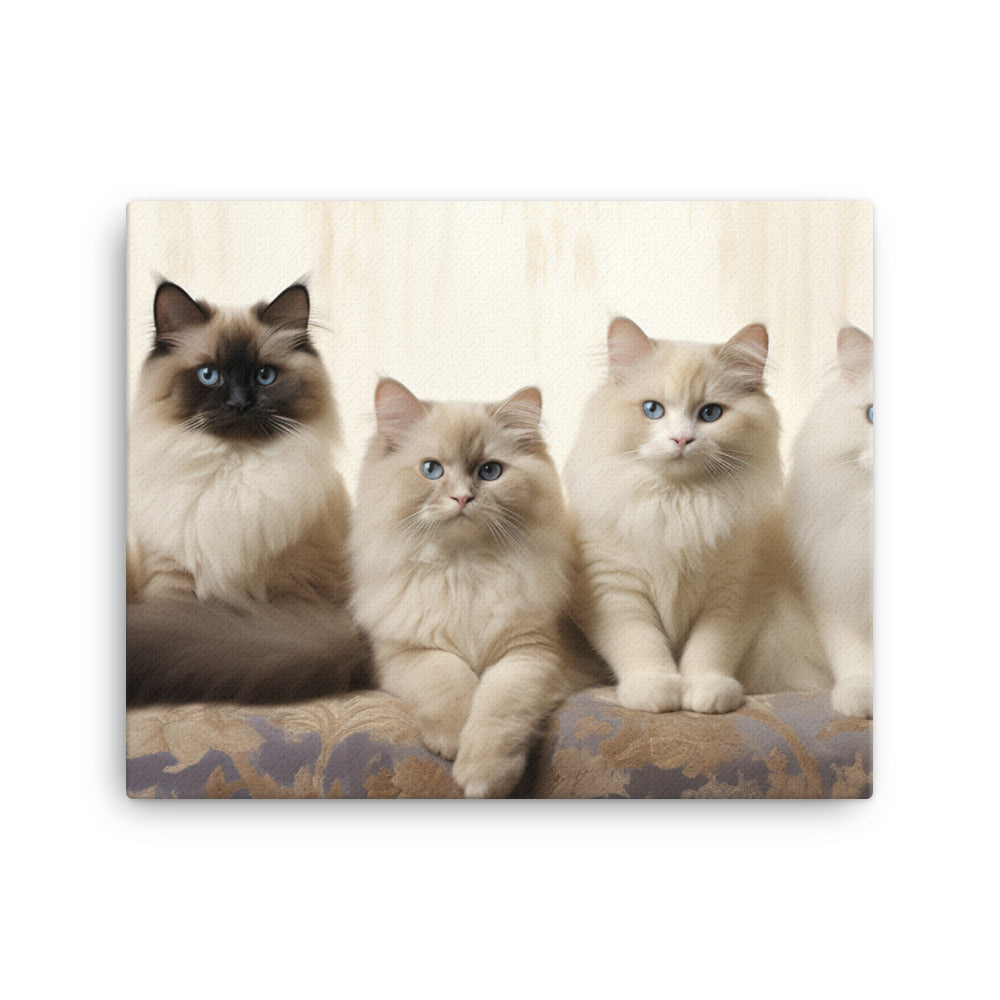 Birman Canvas - PosterfyAI.com