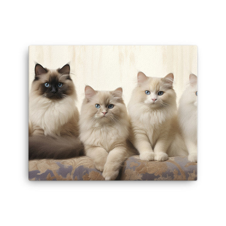 Birman Canvas - PosterfyAI.com