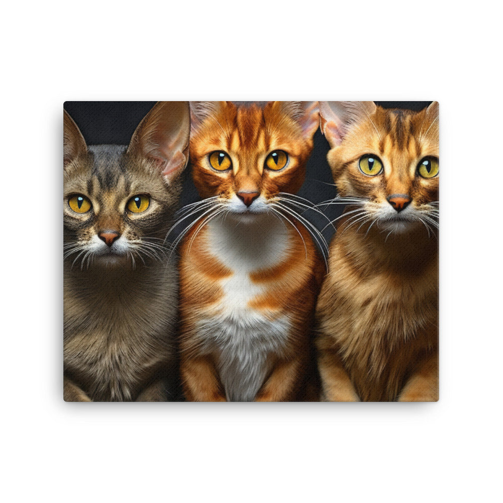 Abyssinian Canvas - PosterfyAI.com