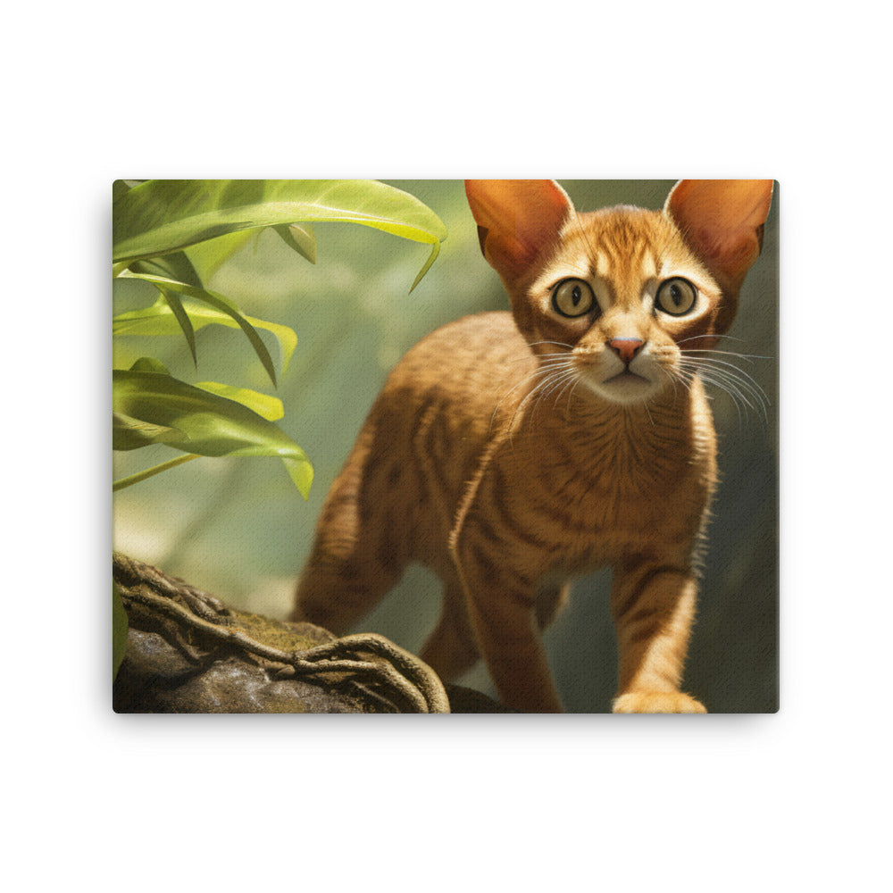 Abyssinian Canvas - PosterfyAI.com