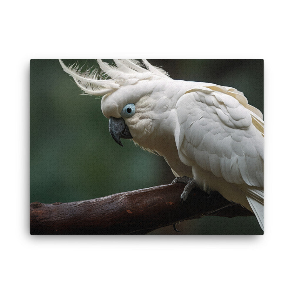 Umbrella Cockatoo canvas - Posterfy.AI