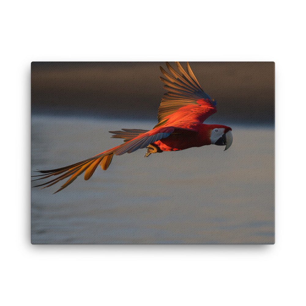 Scarlet Macaw flying over a beach at sunset canvas - Posterfy.AI