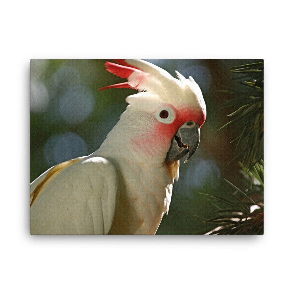 Moluccan Cockatoo canvas - Posterfy.AI