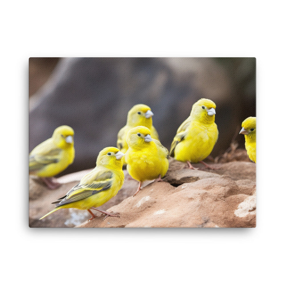 Canaries in a natural habitat canvas - Posterfy.AI