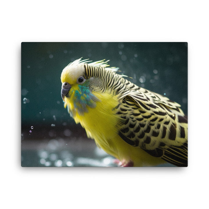 Budgie Taking a Bath canvas - Posterfy.AI