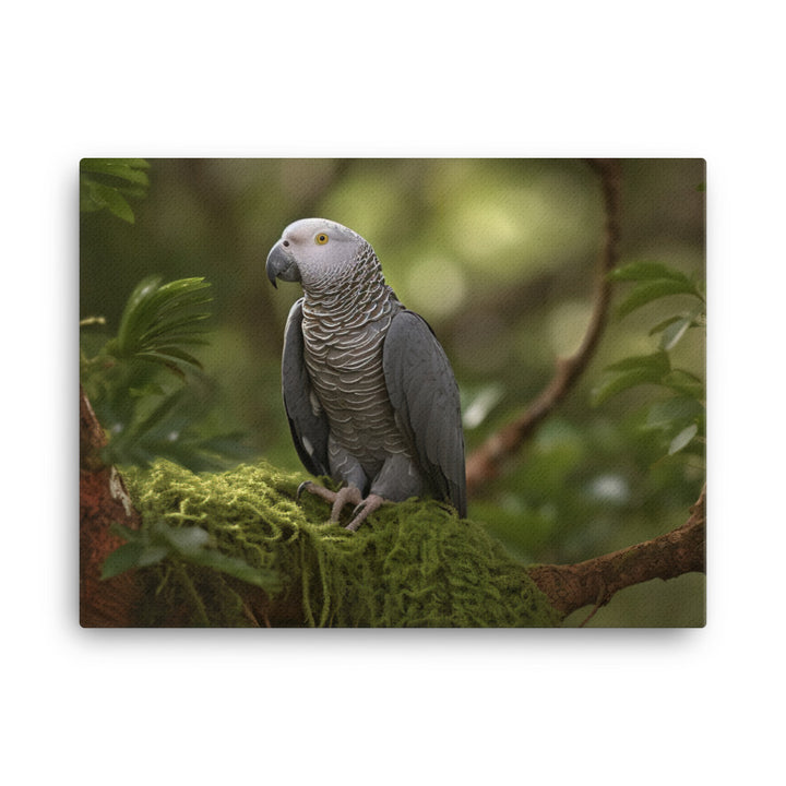 African Grey Parrot in Natural Habitat canvas - Posterfy.AI