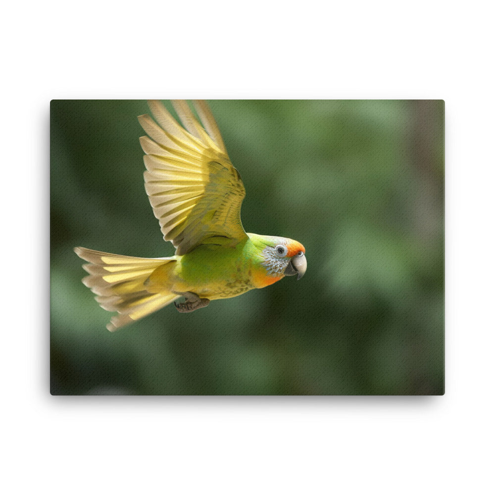 A Conure in mid flight canvas - Posterfy.AI