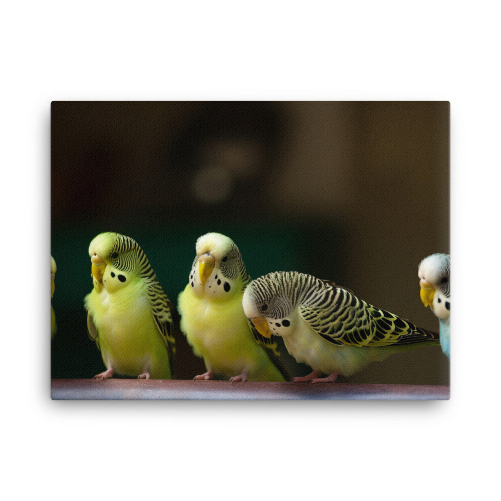 A Common and Sociable Pet Parakeet canvas - Posterfy.AI