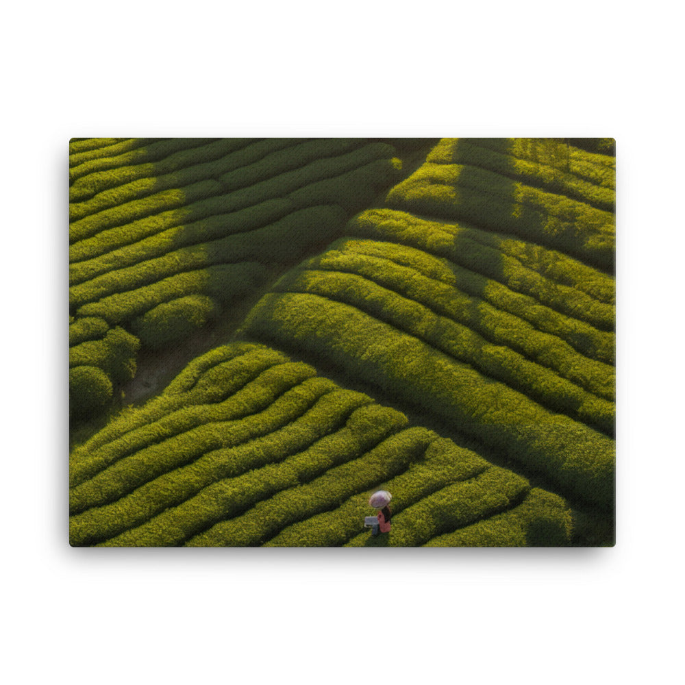 Oolong Tea Field canvas - Posterfy.AI