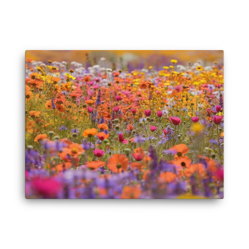 Bieis Colorful Fields in Bloom canvas - Posterfy.AI