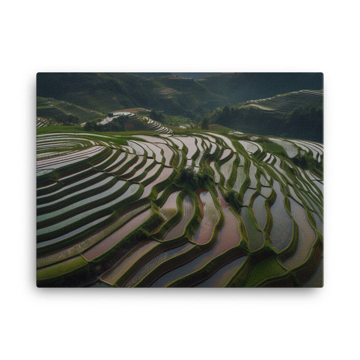 Guilin Rice Terraces from Above canvas - Posterfy.AI