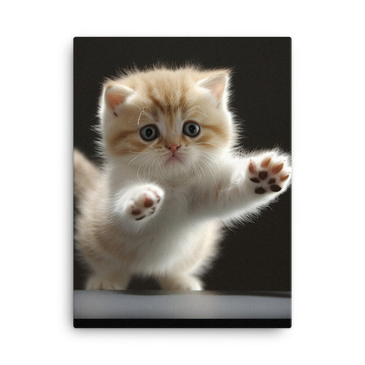 Exotic Shorthair Kitten Canvas - PosterfyAI.com