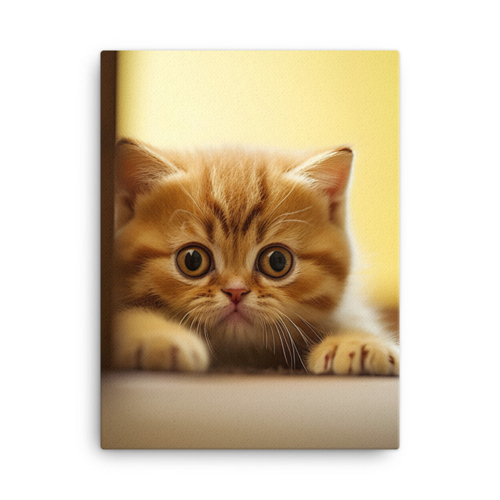 Exotic Shorthair Kitten Canvas - PosterfyAI.com