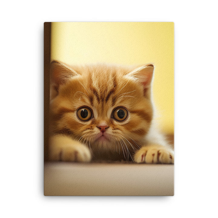 Exotic Shorthair Kitten Canvas - PosterfyAI.com
