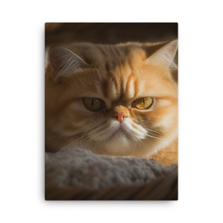 Exotic Shorthair Cat Canvas - PosterfyAI.com