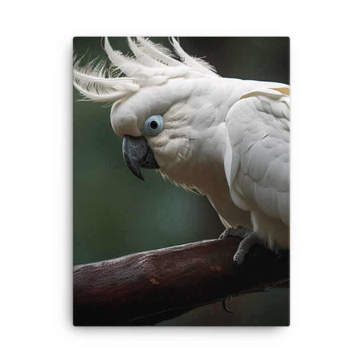Umbrella Cockatoo Canvas - PosterfyAI.com
