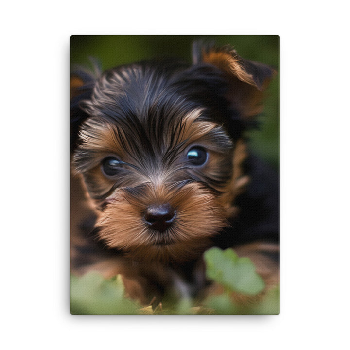 Yorkshire Terrier Pup Canvas - PosterfyAI.com