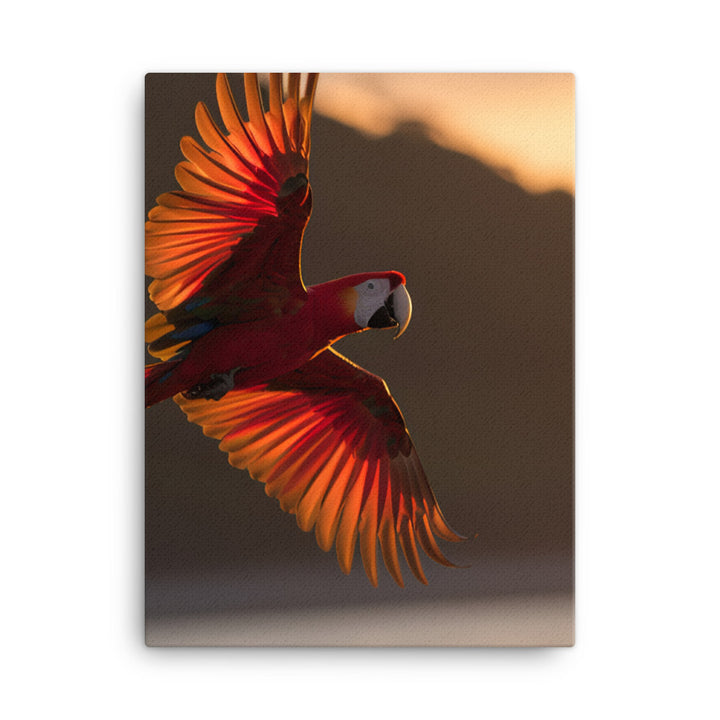 Scarlet Macaw flying over a beach at sunset Canvas - PosterfyAI.com
