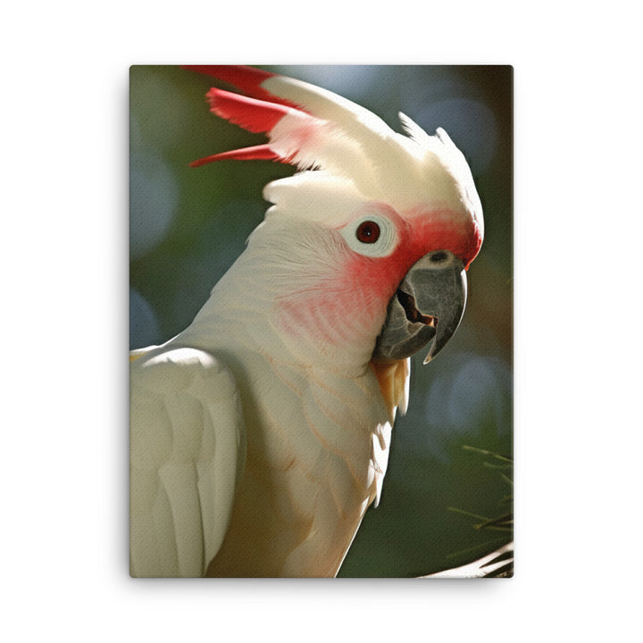 Moluccan Cockatoo Canvas - PosterfyAI.com