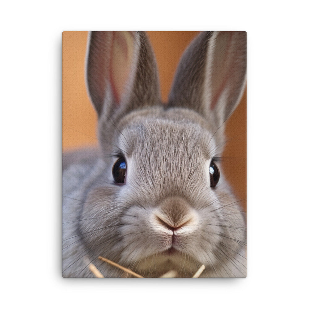 Netherland Dwarf Bunny Canvas - PosterfyAI.com