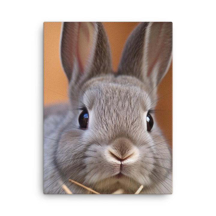 Netherland Dwarf Bunny Canvas - PosterfyAI.com