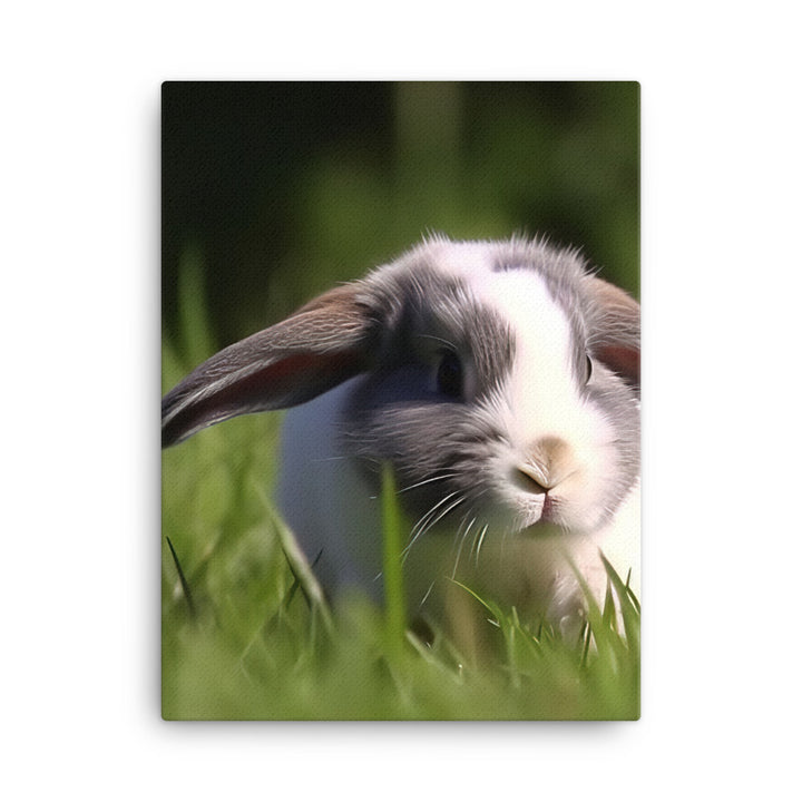 Playful Mini Lop Bunny in a Meadow Canvas - PosterfyAI.com
