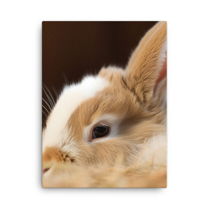 Mini Rex Bunny Canvas - PosterfyAI.com