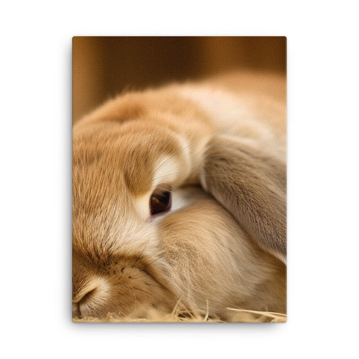 Holland Lop Canvas - PosterfyAI.com