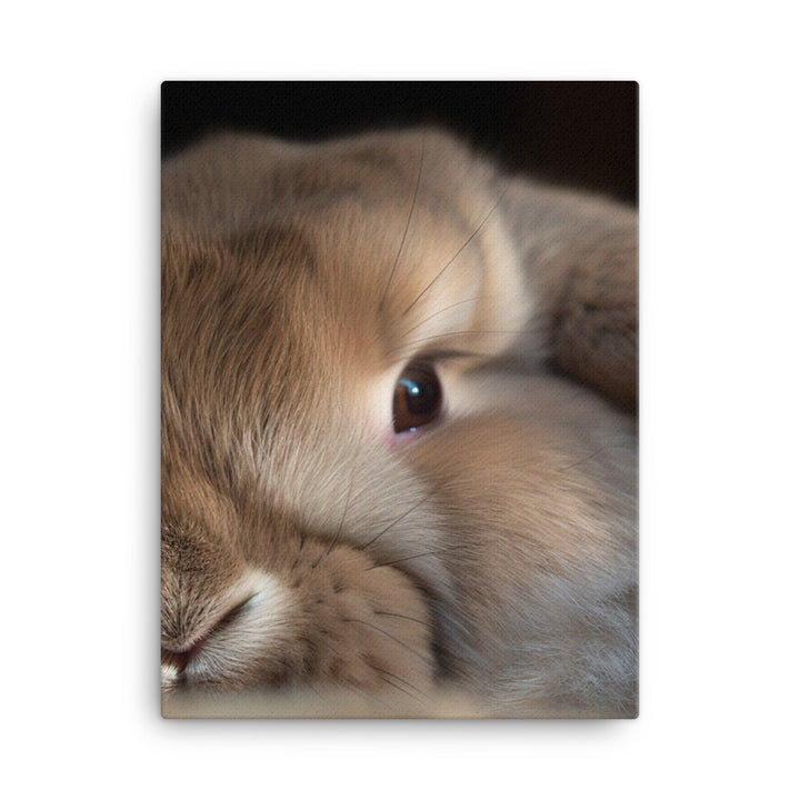 Holland Lop Canvas - PosterfyAI.com