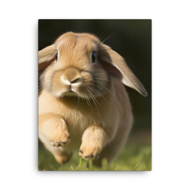 Holland Lop Canvas - PosterfyAI.com