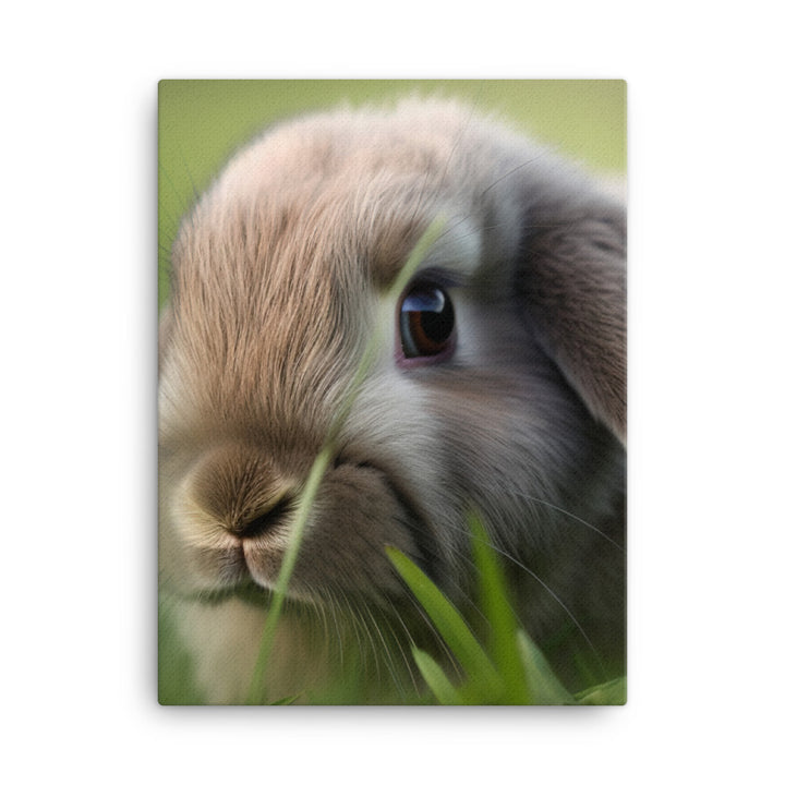 Holland Lop Canvas - PosterfyAI.com