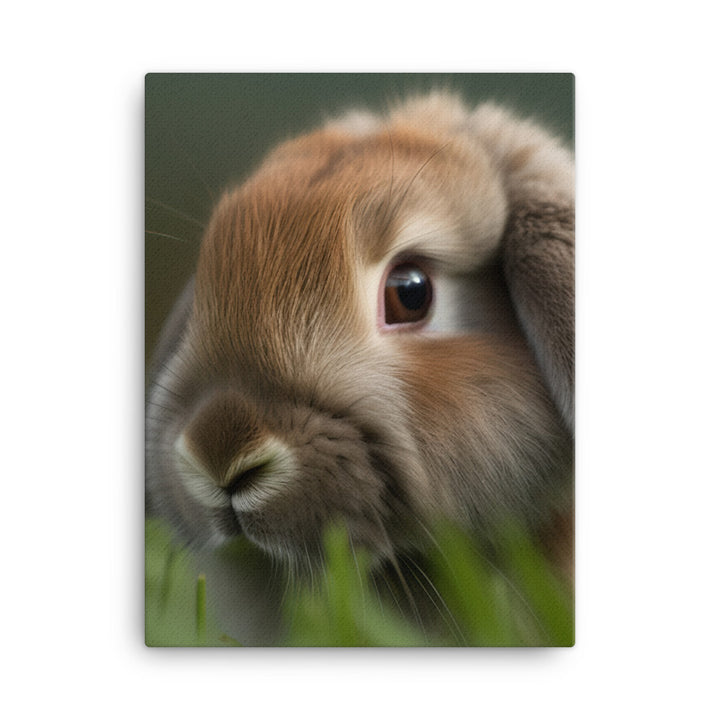 Holland Lop Canvas - PosterfyAI.com