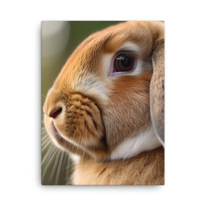 French Lop Portrait Canvas - PosterfyAI.com