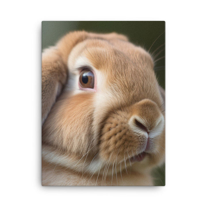 French Lop Portrait Canvas - PosterfyAI.com