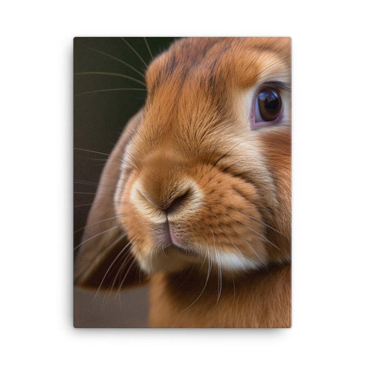 French Lop Portrait Canvas - PosterfyAI.com