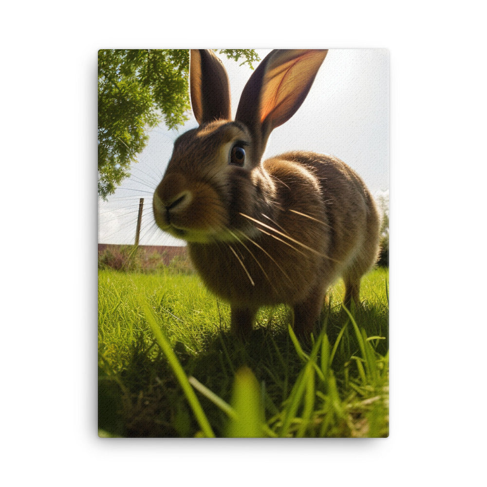Flemish Giant Rabbit Outdoors Canvas - PosterfyAI.com