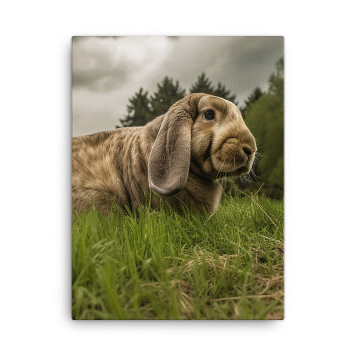 English Lop in Nature Canvas - PosterfyAI.com