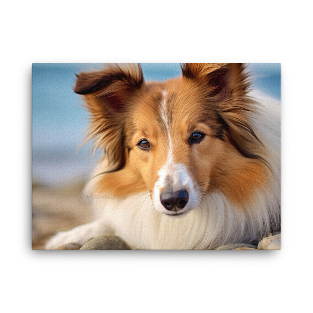 Shetland Sheepdog Relaxing on the Beach canvas - Posterfy.AI