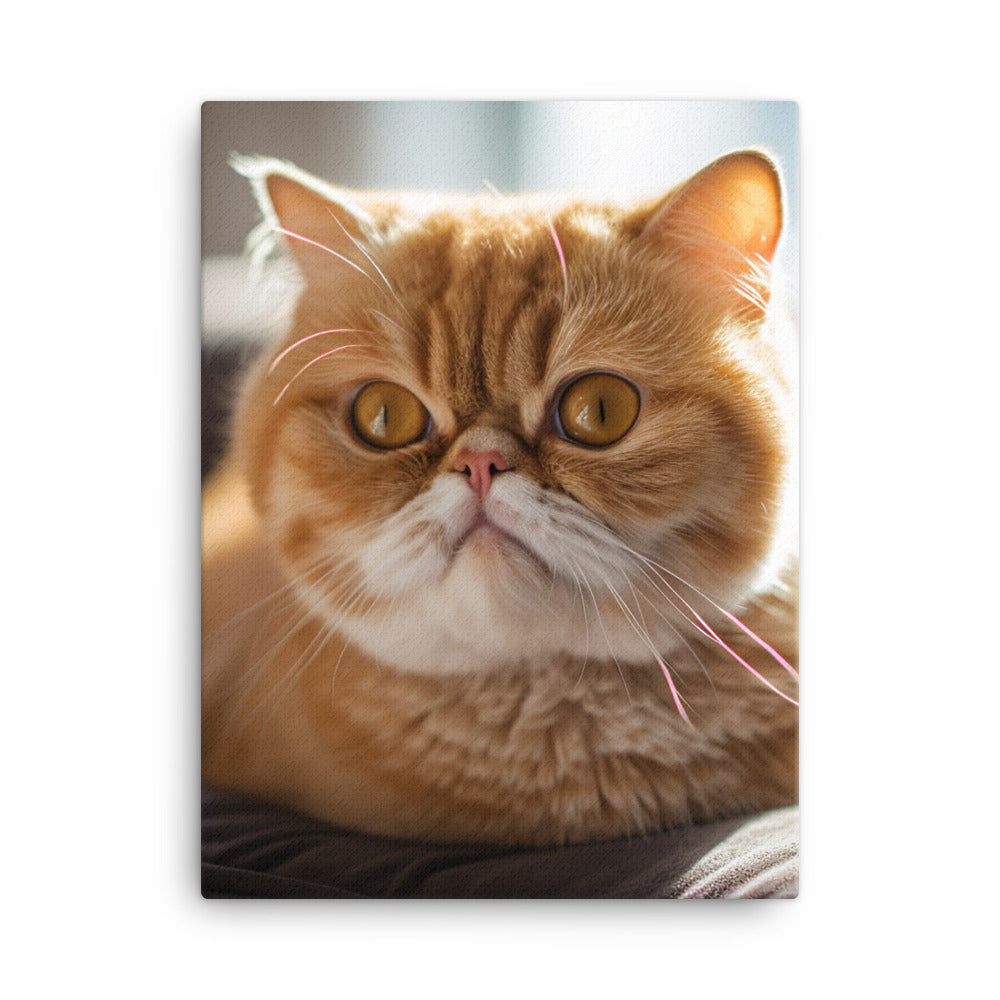 Exotic Shorthair Cat Canvas - PosterfyAI.com
